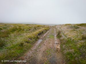 Wadsworth Moor I