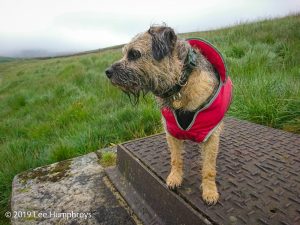 Wadsworth Moor I