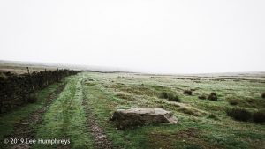 Wadsworth Moor I