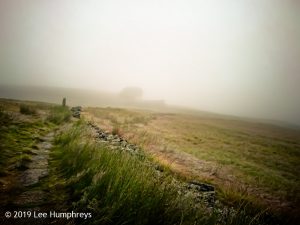 Wadsworth Moor I