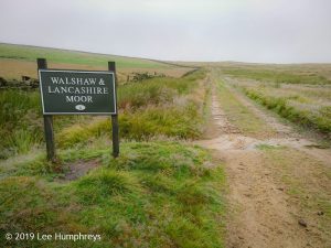 Wadsworth Moor I