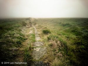 Wadsworth Moor I