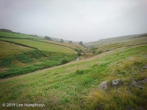 Wadsworth Moor I