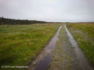 Wadsworth Moor I