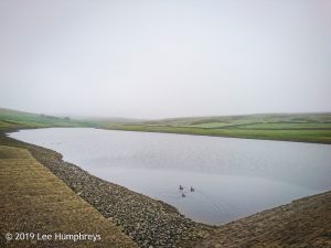 Wadsworth Moor I