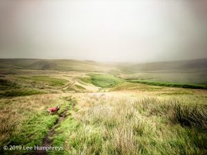Wadsworth Moor I