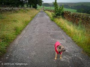 Wadsworth Moor I