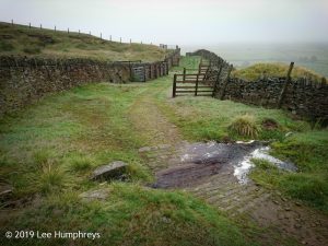 Wadsworth Moor I