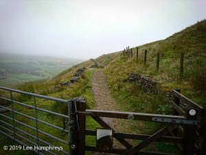 Wadsworth Moor I