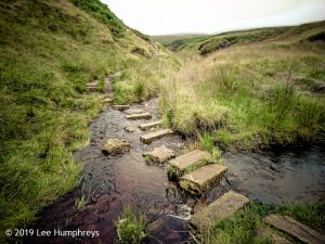 Wadsworth Moor I