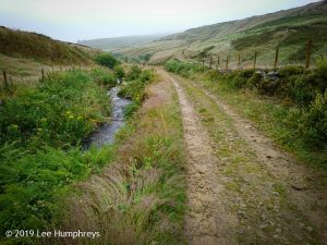 Wadsworth Moor I
