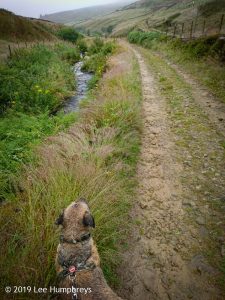 Wadsworth Moor I