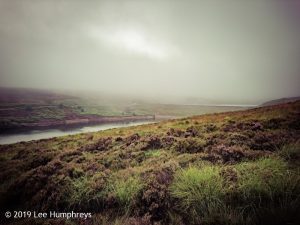Wadsworth Moor I