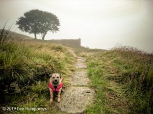 Wadsworth Moor I