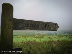 Wadsworth Moor I
