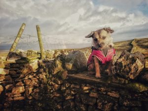 #005: Kirkby Fell, Malham
