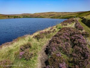 Wadsworth Moor II
