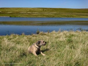 Wadsworth Moor II