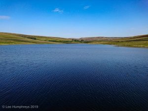 Wadsworth Moor II
