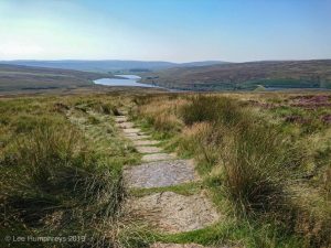 Wadsworth Moor II