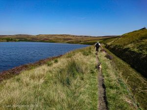 Wadsworth Moor II