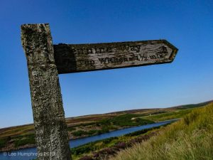 Wadsworth Moor II