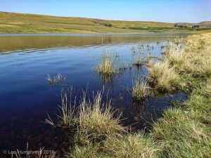 Wadsworth Moor II