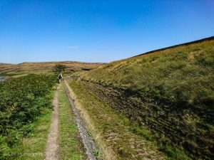 Wadsworth Moor II