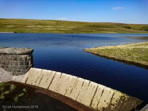 Wadsworth Moor II