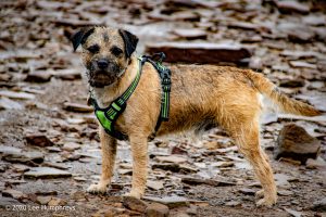 Keighley Reservoir Walk