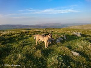 #008: Parson's Pulpit, Malham