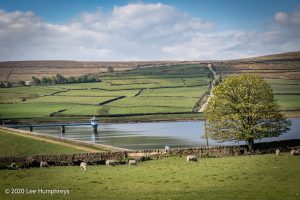 Mellow Marsh Meander