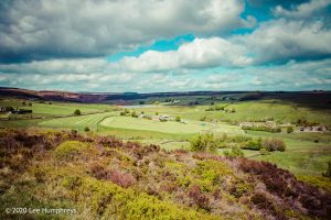 Mellow Marsh Meander