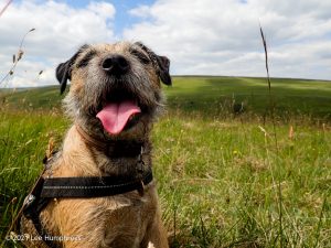 #011: Arncliffe Circular