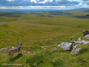 #014: High Mark, Malham II