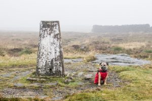 #015: Birks Tarn, Birks Fell, Buckden