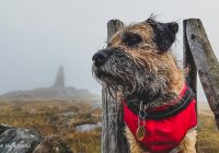 #016: Embsay Moor