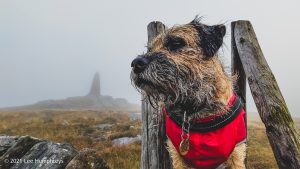 #016: Embsay Moor