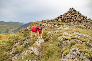#017: Crag Fell, Ennerdale Water, Lake District