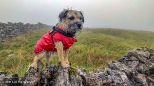 #020: Highfolds Scar, Malham