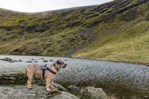 #022: Bowscale Tarn, Lake District