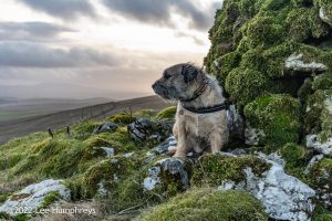 #025: Pikedaw Hill(ish), Malham