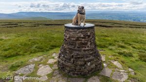 #033: Nine Standards Rigg