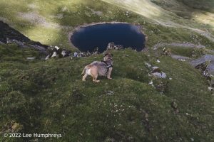 #034: Goatfoot Crags, Lake District