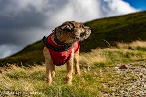 #038: Dalehead Tarn, Lake District