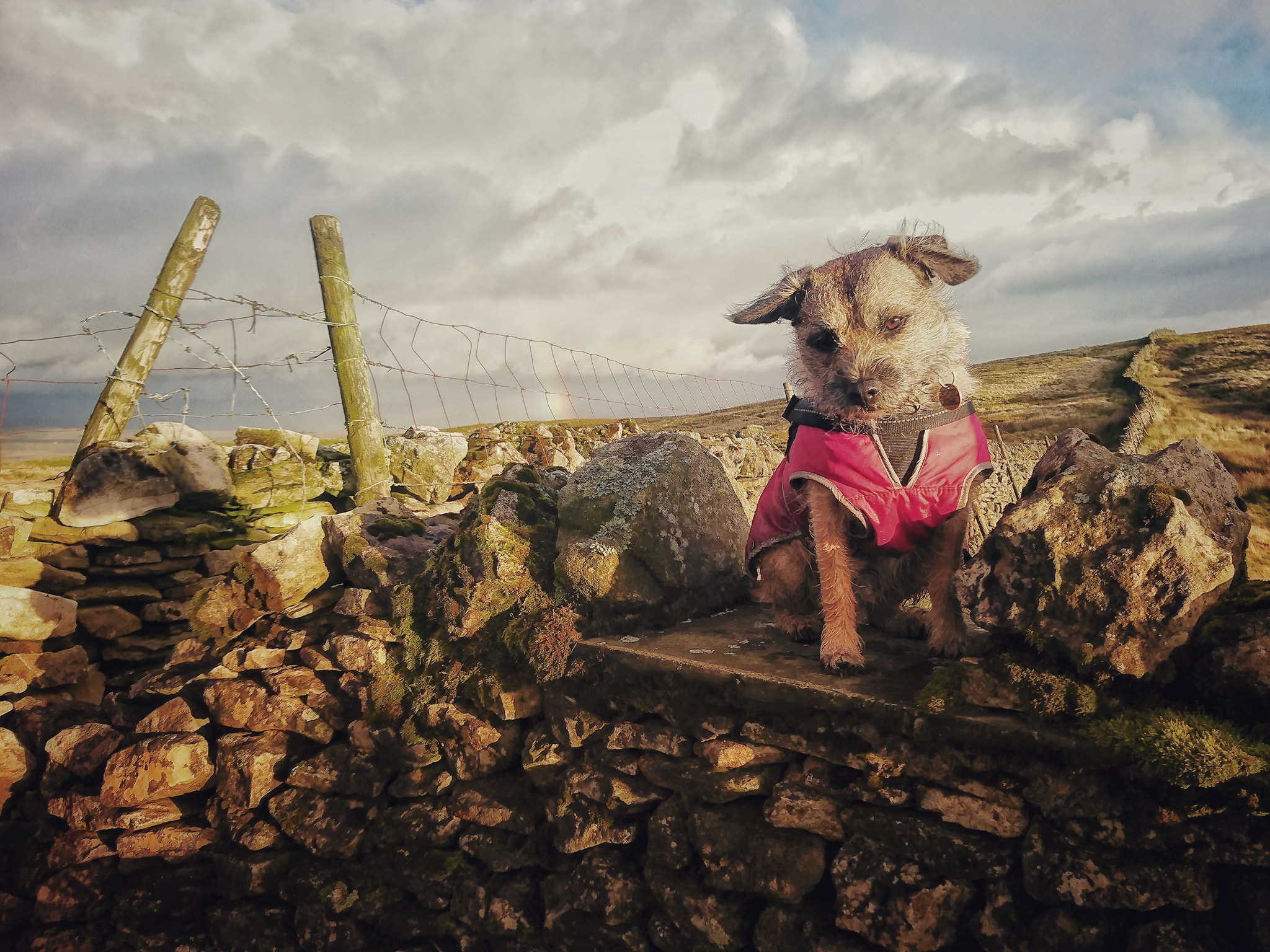 121333229_3481986791840924_800217659637469764_o_3481986778507592