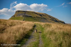 Pen-y-ghent & Plover Hill II – Wild Camp #035