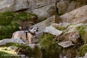 Pen-y-ghent & Plover Hill II – Wild Camp #035