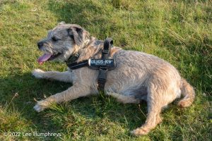 Pen-y-ghent & Plover Hill II – Wild Camp #035