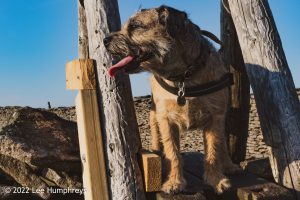 Pen-y-ghent & Plover Hill II – Wild Camp #035